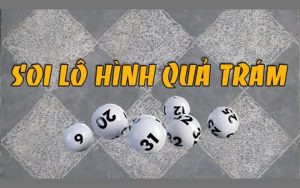 lô hình qủa trám